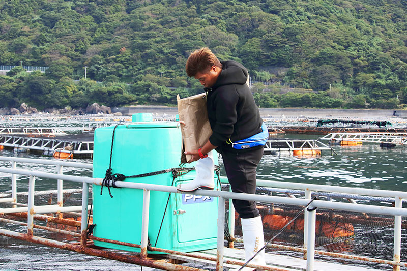 有限会社ヤマウ水産